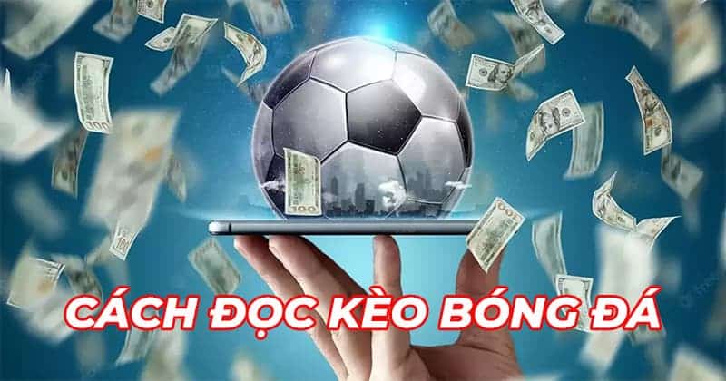 cach doc va hieu ty le keo 67a83c0e05da6