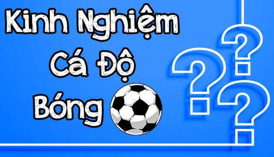 kinh nghiem ca cuoc 67a84ce4f0182