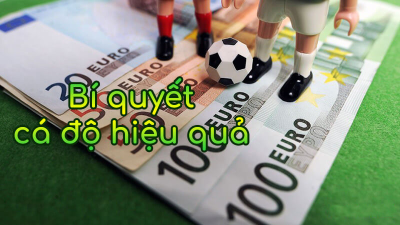 Cách xem kèo bóng đá để cá độ chi tiết và dễ hiểu - SiêuBet